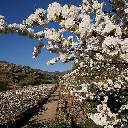 Casa Rural Arbequina, Refugio De Primavera Casas del Monte Esterno foto